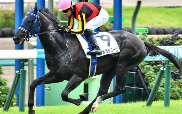 サトノダイヤモンドの甥が重賞初挑戦 前走は強烈な加速ラップで3馬身半差V