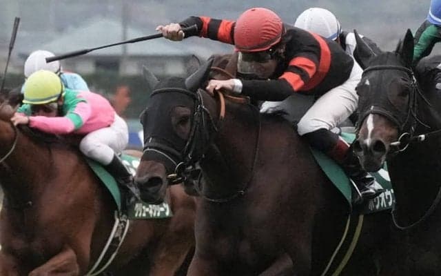 【福島記念】田辺「凄く精神面の成長ある」ホウオウエミーズが重賞初制覇