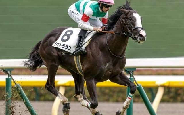 【東スポ杯2歳S予想】クラシック直結の登龍門！ 人気馬の取捨が最大のポイント