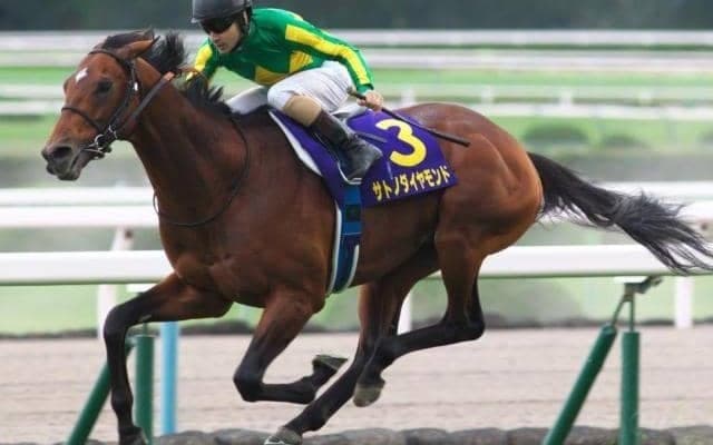 兄も伯父もGI馬の良血 マーカンド騎手で初陣V目指す