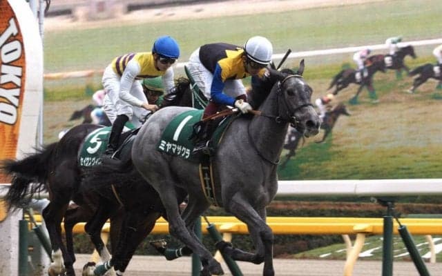 ミヤマザクラが競走馬登録抹消