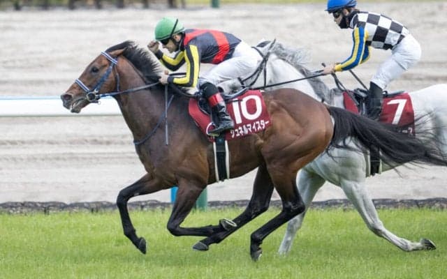 【マイルCS】シュネルマイスターは5枠9番