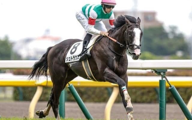 【今日の注目ポイント】東京でGIの登竜門・東スポ杯2歳S