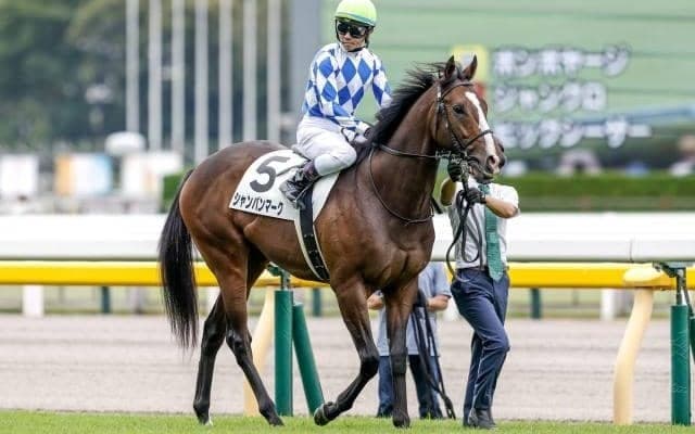 【東スポ杯2歳S予想】名馬を送り出した出世レース スピードと瞬発力がカギに