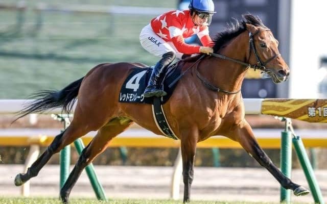 【マイルCS予想】晩秋の陽気が後押し!? 気象予報士が激走注目馬3頭をピックアップ