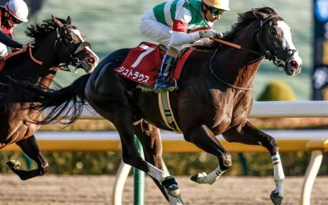 【東スポ杯2歳S結果】ブルーメンブラットの仔シュトラウスが出世レースを制す