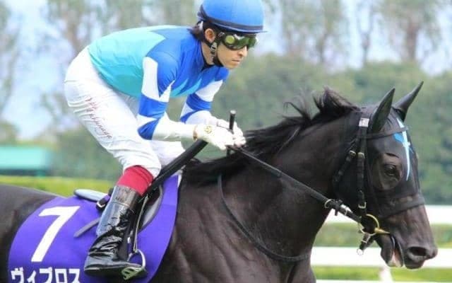 “大魔神”佐々木主浩オーナー所有の良血馬が初陣 母はGI2勝のヴィブロス