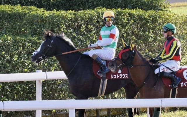 【東スポ杯2歳S】モレイラ「素晴らしい将来があると思う」シュトラウスが重賞初制覇