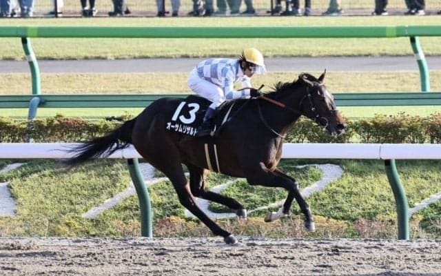 【晩秋S】オーサムリザルトが無傷の4連勝