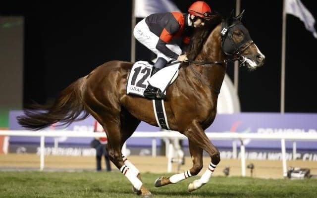 【今日の注目ポイント】京都で秋のマイル王決定戦・マイルCS