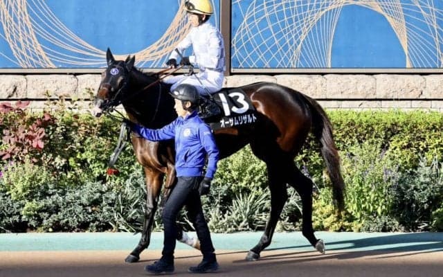 【晩秋S】戸崎「能力を感じます」オーサムリザルト無傷の4連勝でオープン入り
