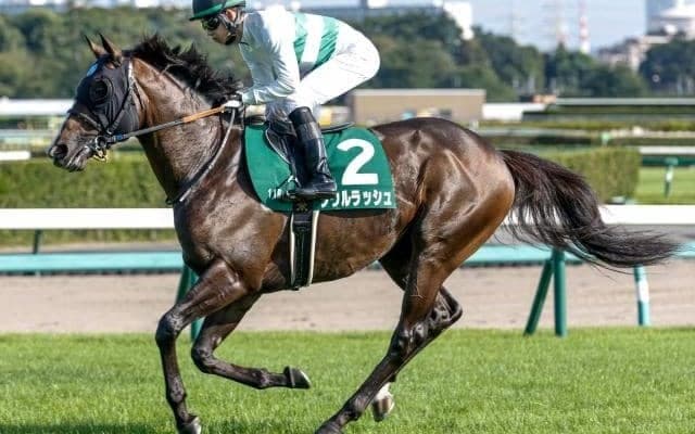 【マイルCS予想】4年ぶりの京都開催 過去3回とは少々趣異なる一戦に