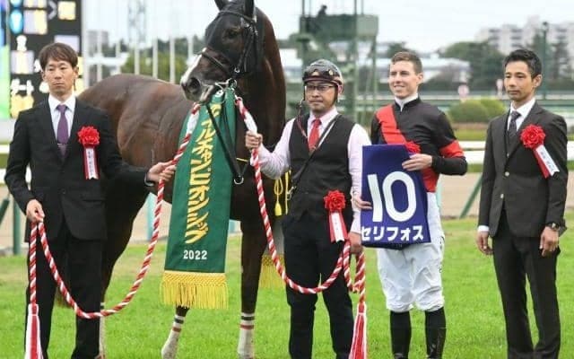 【マイルCS予想】阪神から京都変更でデータ傾向は？ 重視すべきは「前走ローテ」と「着順」