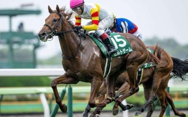 【園田・兵庫ジュニアGP枠順】函館2歳S覇者ゼルトザームは4枠4番、5連勝中のトラジロウは7枠10番