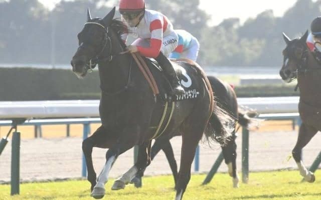 【秋明菊賞結果】セレクト2億超の高額馬 ダノンマッキンリーが突き抜けデビュー2連勝