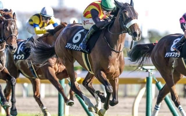 【赤松賞結果】ステレンボッシュが直線の追い比べを制す