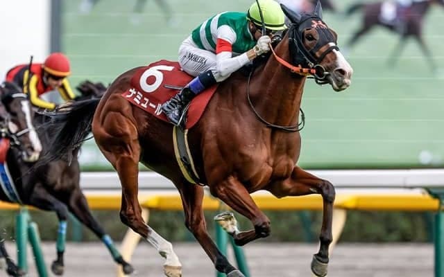 【マイルCS】紅一点ナミュールが悲願のGI初制覇！ 急遽乗り替わりの藤岡康太騎手がビッグタイトルに導く