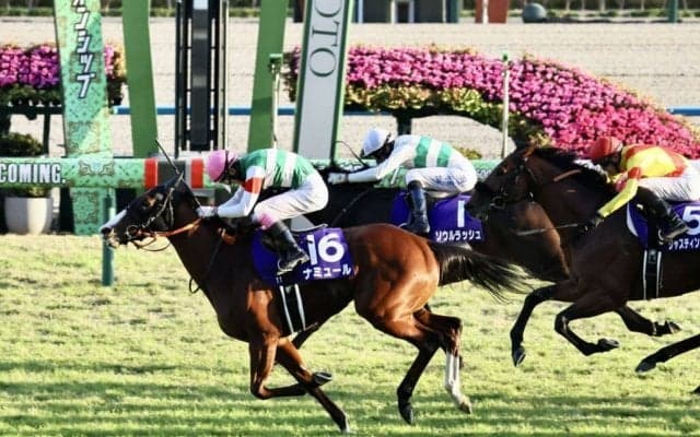 【マイルCS】代打騎乗・藤岡康太、ナミュールが直線ごぼう抜き