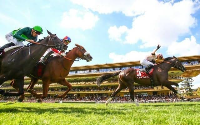 ジャパンC参戦のイレジンが来日 自国厩舎から31時間の輸送