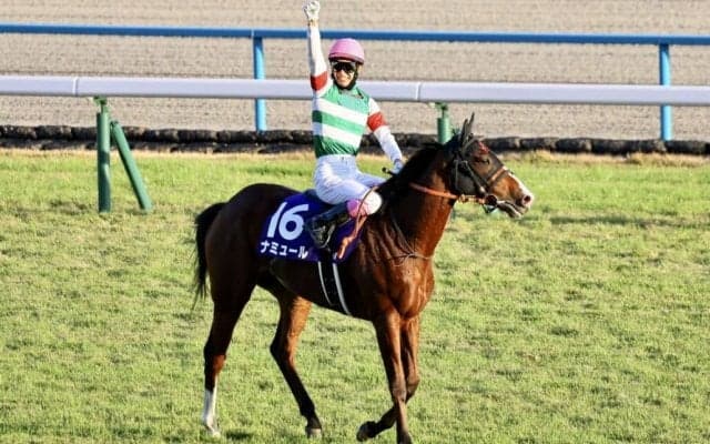 【マイルCS】藤岡康「プレッシャーもあったがホッとした」ナミュールがG1初制覇