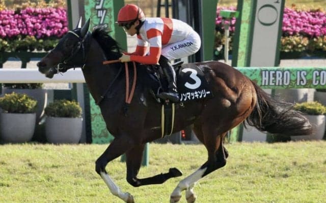 【秋明菊賞】断然人気ダノンマッキンリーがデビュー2連勝