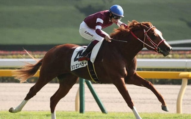 【京都2歳S】凱旋門賞馬全弟、シンエンペラーなど15頭