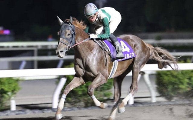 【高知・土佐秋月賞】ユメノホノオが10連勝…断然の人気に応える