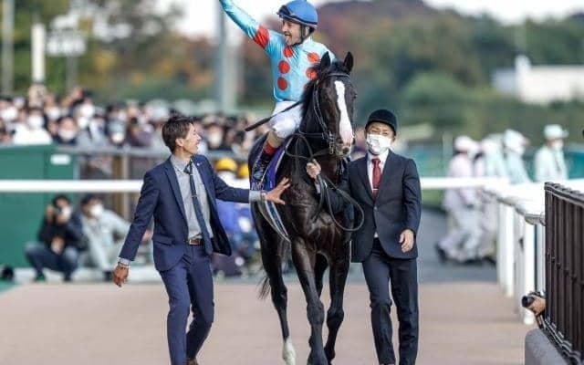 【ジャパンC見どころ】イクイノックスが史上3頭目のGI出走機会6連勝を狙う