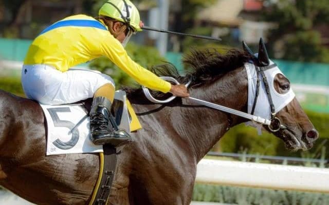 千葉ロッテ・吉井理人監督所有のリジンが無傷5連勝 馬なりのまま後続を“完封”