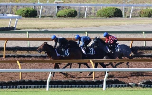 追い切りの動き・タイムともに上々 キズナ産駒のメイクユーマインなど/関西馬メイクデビュー情報