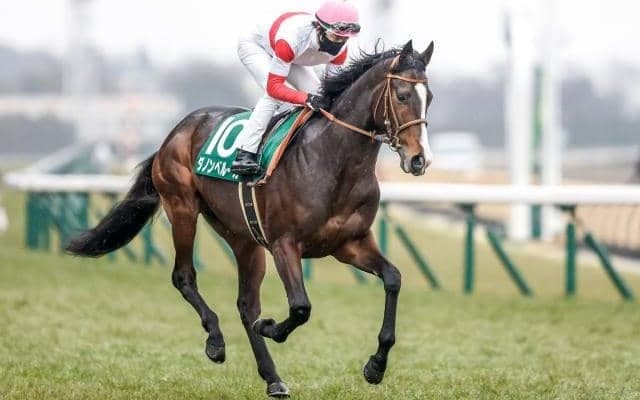 【AI予想・ジャパンC】豪華メンバーが集結した一戦！ 波乱を予感させる人工知能の本命候補とは