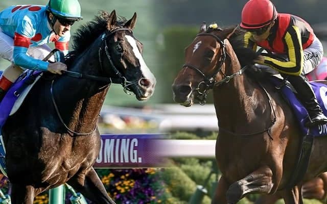 ジャパンC想定騎手20頭 イクイノックスはC.ルメール騎手、リバティアイランドは川田将雅騎手