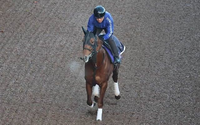 テーオーケインズなど、先週の入厩情報/栗東トレセンニュース