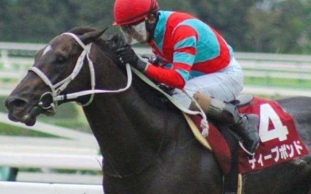 獲得総額は6億8000万円超 “GI未勝利の賞金王” がジャパンCに初参戦