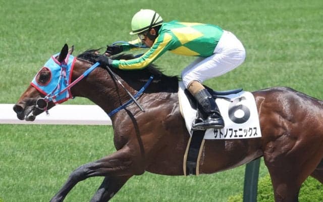 【兵庫ジュニアグランプリ】デビュー2連勝中サトノフェニックスは 2枠2番へ