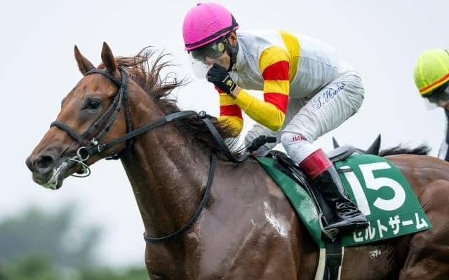 【兵庫ジュニアGP注目馬】中央・地方の素質馬が集結した2歳重賞