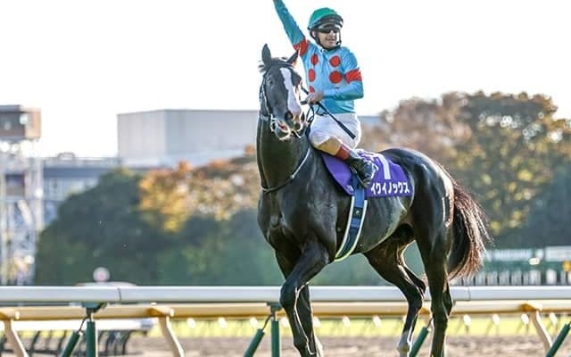 C.ルメール騎手がアーモンドアイ以来のジャパンC3年ぶり4勝目へ イクイノックスで決める