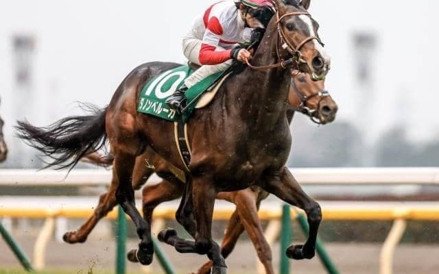 【ジャパンC予想】AIの注目馬は人気の盲点!? 2強ムードの中でも強気に狙える一頭とは