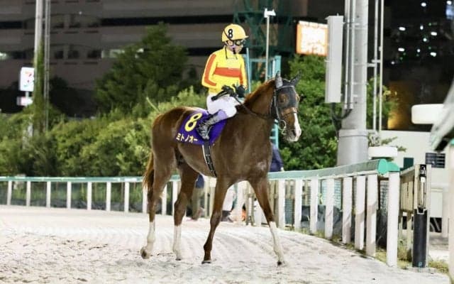 【浦和記念】ミトノオーは2枠2番へ