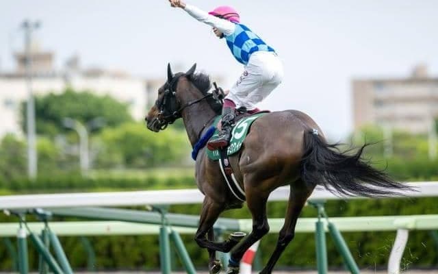 【京阪杯展望】時計が掛かり差し追い込みが決まりやすいレース