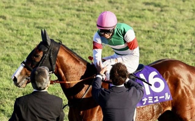 2023香港国際競走 日本馬が出走する4競走の選出馬