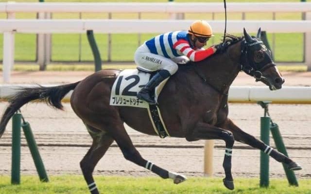 シチー軍団が10年ぶりのJRA重賞制覇なるか “期待の星”が京都2歳Sにチャレンジ