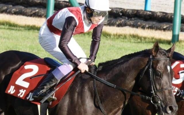 ドゥラメンテ産駒初のスプリント重賞制覇へ 2頭が京阪杯に出走予定