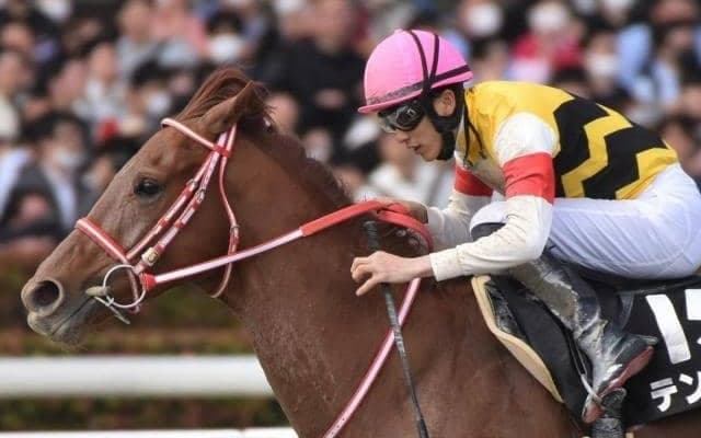 【浦和記念注目馬】実力伯仲の好メンバー集結 8年ぶりの地方馬Vか、今年も中央馬が実力見せるか