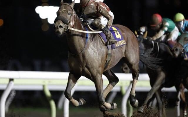 【浦和記念】重賞4勝馬セイカメテオポリス 笹川翼騎手から今野忠成騎手に変更