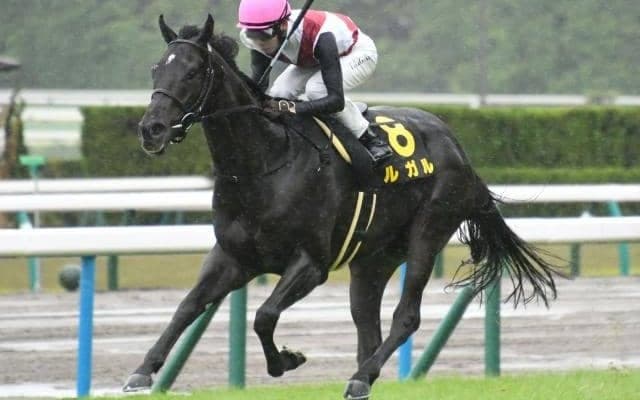 【京阪杯出走馬・騎手確定】ルガル＆西村淳也騎手、トウシンマカオ＆菅原明良騎手など18頭