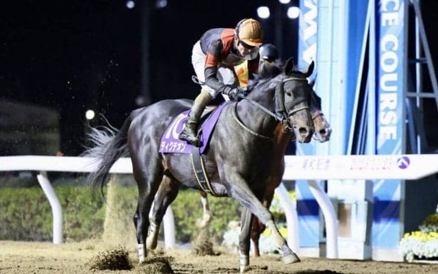 【浦和記念】ディクテオンが交流重賞初制覇