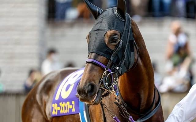 ジャパンC18頭の“香港馬名”を紹介『星映天下』や『本初之海』はどの馬？