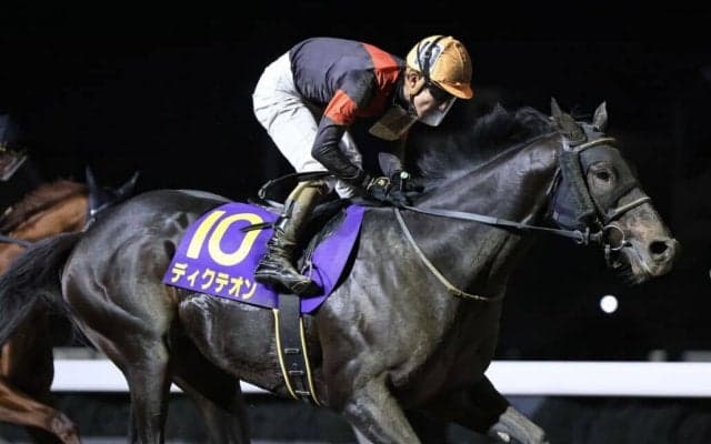 【浦和記念】本田正「地方の砂も合う」ディクテオンが交流重賞初制覇