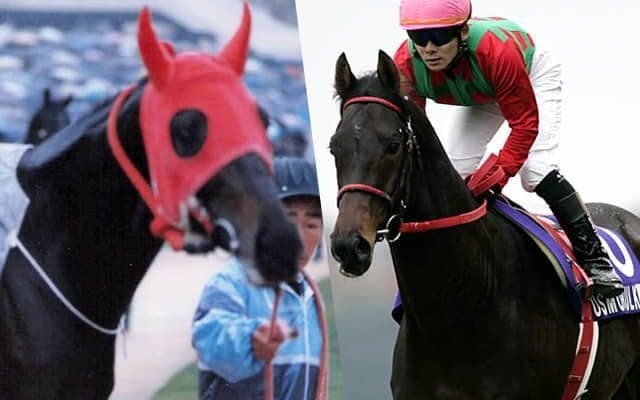 ロッキータイガーやコスモバルクなど 地方馬のジャパンC挑戦史